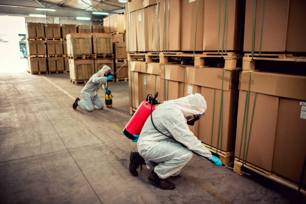 Best Bed Bug Extermination  in Meyers, CA
