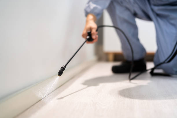 Best Pest Prevention Services  in Meyers, CA