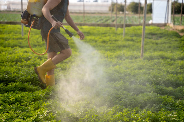 Best Exterminator Services  in Meyers, CA