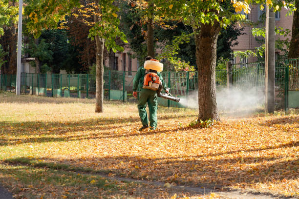 Best Pest Removal Services  in Meyers, CA